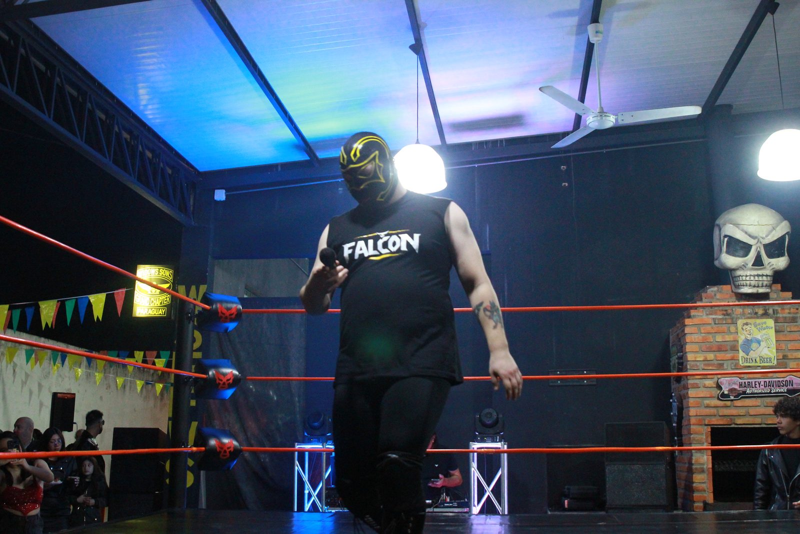 Dany la Bestia vs Falcon — Noche de Luchas 1 (12)