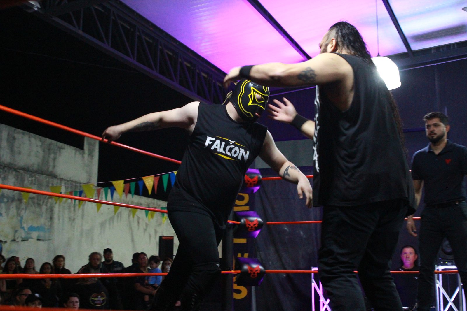 Dany la Bestia vs Falcon — Noche de Luchas 1 (18)