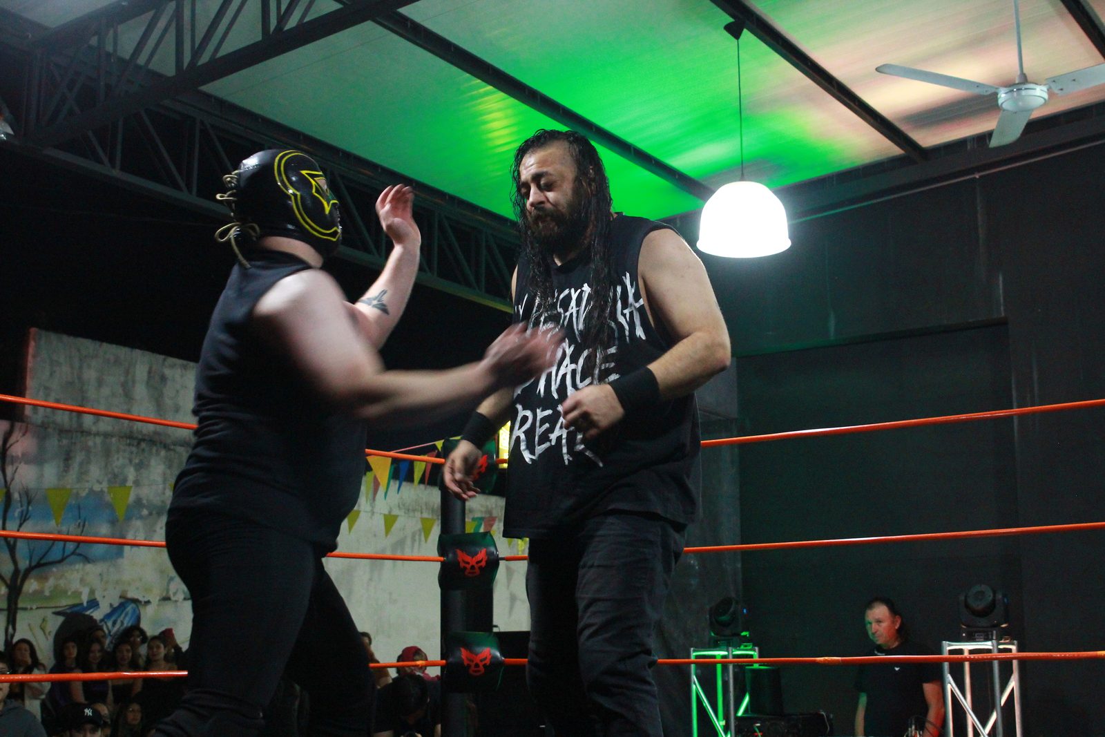Dany la Bestia vs Falcon — Noche de Luchas 1 (23)